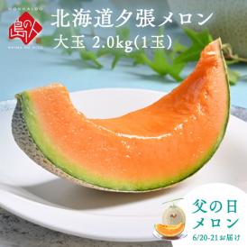 【6月20日～21日お届け】【父の日メロン】夕張メロン 大玉　2.0kg(1玉) 共撰優品(糖度11％以上)【送料無料】【ご贈答向け】