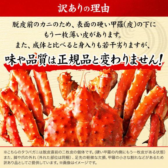 【訳あり】北海道産 タラバガニ（姿）1.0kg【送料無料】【数量限定】02