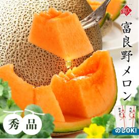 北海道 富良野メロン 2.5kg【送料無料】