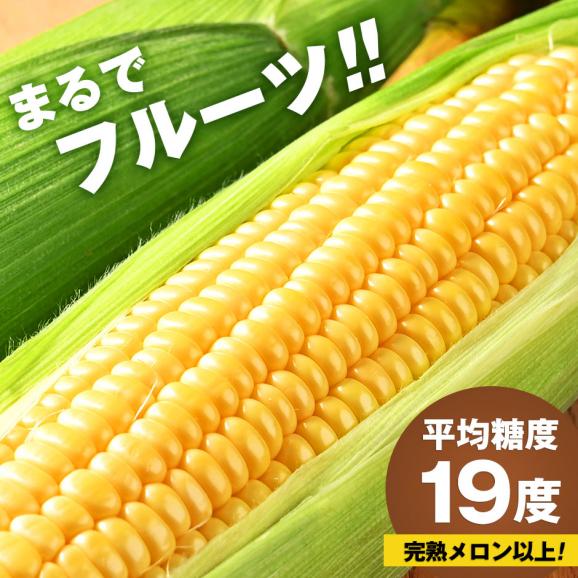 北海道 富良野産 とうもろこし　わくわくコーン　2Lサイズ&times;8本【送料無料】02