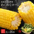 北海道 富良野産 とうもろこし　わくわくコーン　2Lサイズ&times;16本【送料無料】
