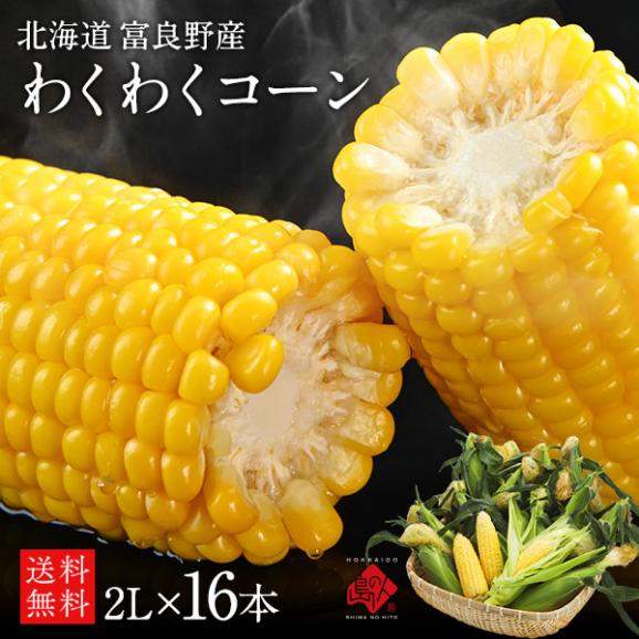 北海道 富良野産 とうもろこし　わくわくコーン　2Lサイズ&times;16本【送料無料】01