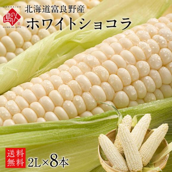 北海道 富良野産 とうもろこし　ホワイトショコラ　2Lサイズ&times;8本【送料無料】01