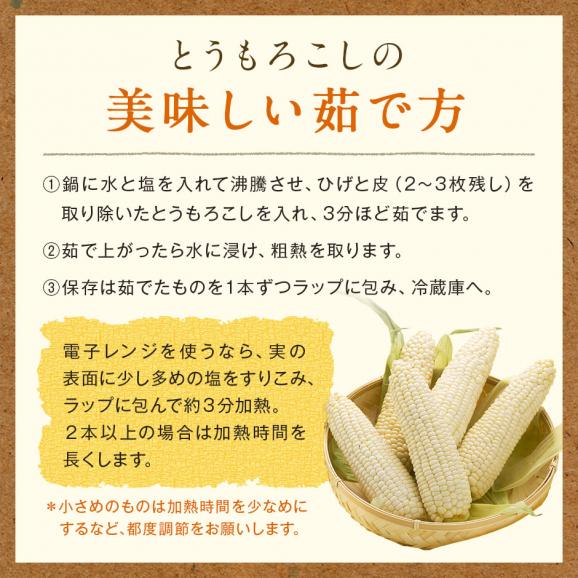 北海道 富良野産 とうもろこし　ホワイトショコラ　2Lサイズ&times;16本【送料無料】06