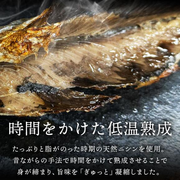 【新商品】礼文・利尻島産 本漬け 天然糠ニシン 1尾04