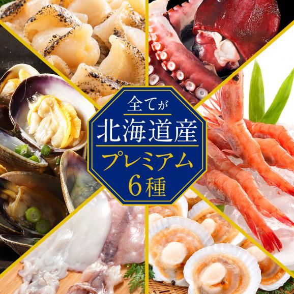 【北海道産100%】島の人 6種のシーフードミックス 1.0kg02