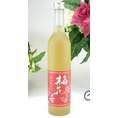 あさ開酒造　梅花音　梅酒　500ｍｌ　【梅酒特集】