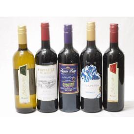 セレクション 赤ワイン 白ワイン 5本セット ( イタリアワイン 白1本 イタリアワイン 赤1本 フランスワイン 赤1本 チリワイン 赤1本 スペインワイン 赤1本)750ml×5本