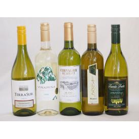 セレクション 白ワイン 5本セット ( スペインワイン 1本 フランスワイン 1本 イタリアワイン 1本 チリワイン 2本)計750ml×5本