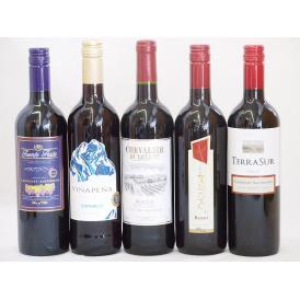 セレクション 赤ワイン 5本セット( スペインワイン 1本 フランスワイン 1本 イタリアワイン 1本 チリワイン 2本)計750ml×5本