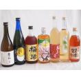 酒蔵の造った梅酒が飲みたかったぁ　飲み比べ送料込み7本セット　【お酒が苦手な方でも美味しく飲める福袋】
