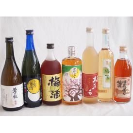 酒蔵の造った梅酒が飲みたかったぁ　飲み比べ送料込み7本セット　【お酒が苦手な方でも美味しく飲める福袋】