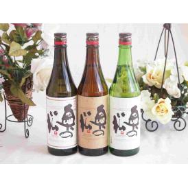 奥の松酒造贅沢な日本酒スペシャル3本セット (あだたら吟醸・純米吟醸・特別純米)720ml×3本 (福島県)日本酒福袋【贈り物】地酒セット日本酒セット！