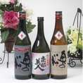 【第3弾】東北限定地酒特別純米酒日本酒3本セット720ml×3本
