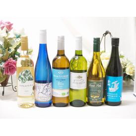 ワインセット パーティワイン＆日本酒福袋6本セット セレクション白ワイン750ml×5本と金鯱山田錦純米吟醸原酒1本×720ml