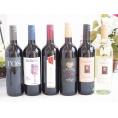 セレクションイタリアワイン（赤5本、白1本）で750ml&times;6本