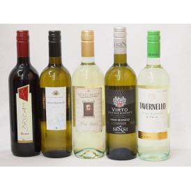 セレクションイタリアワイン（赤1本、白4本）で750ml×5本