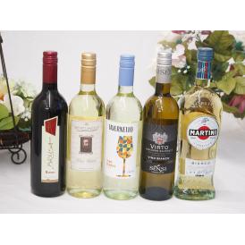 セレクションイタリアワイン（赤1本、白4本）で750ml×5本