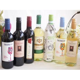 ワインセット セレクションイタリアワイン7本セット（赤3本、白4本）で750ml×7本