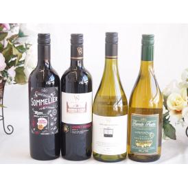 セレクションチリワイン4本セット（赤2本、白2本）で750ml×4本