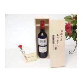 母の日 ギフトセット ワインセット お母さんありがとう木箱セット(２０１１年ボルドーコンクール金賞ワイン シャトー　ベルリーヴ デュボワ 赤ワイン 7