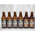 クラフトビールパーティ6本セット　金しゃちピルスナー330ml×4本　金しゃちアルト330ml×2本　