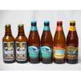 クラフトビールパーティ6本セット　金しゃちピルスナー330ml×2本　ハワイコナビールビッグウェーブ・ゴールデンエール355ml×2本　ハワイコナビールロングボードアイランドラガー355ml　ファイア