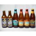 クラフトビールパーティ6本セット　金しゃちピルスナー330ml×2本　ハワイコナビールビッグウェーブ・ゴールデンエール355ml　ハワイコナビールロングボードアイランドラガー355ml×2本　ファイア