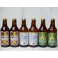 クラフトビールパーティ6本セット　金しゃちアルト330ml×2本　プラチナエール330ml×2本　IPA330ml×2本