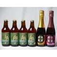 クラフトビールパーティ6本セット  IPA330ml×4本  薩摩スパークリングゆずどん375ml　薩摩スパークリング炭酸にごり梅酒梅太夫375ml