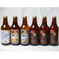 クラフトビールパーティ6本セット　プラチナエール330ml　金しゃちピルスナー330ml　金しゃちアルト330ml　IPA感謝ビール330ml×3本