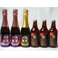 クラフトビールパーティ6本セット IPA感謝ビール330ml×3本　薩摩スパークリングゆずどん375ml　薩摩スパークリング炭酸にごり梅酒梅太夫375ml×2本