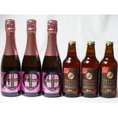 クラフトビールパーティ6本セット IPA感謝ビール330ml×3本　　薩摩スパークリング炭酸にごり梅酒梅太夫375ml×3本