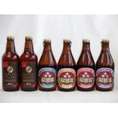 クラフトビールパーティ6本セット　IPA感謝ビール330ml　ミツボシヴァイツェン330ml　ミツボシウィンナスタイルラガー330ml　ミツボシピルスナー330ml　ミツボシペールエール330ml