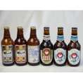 クラフトビールパーティ6本セット　プラチナエール330ml　金しゃちピルスナー330ml　金しゃちアルト330ml　常陸野ネストアンバーエール330ml　常陸野ネストホワイトエール330ml×2