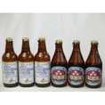 クラフトビールスペシャルパーティ6本セットプラチナエール330ml ミツボシヴァイツェン330ml
