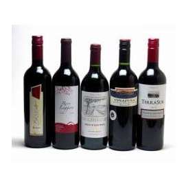 2セット セレクション 赤ワイン 5本×2セット ( スペインワイン 1本 フランスワイン 1本 イタリアワイン 1本 チリワイン 2本)計750ml×10本
