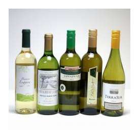 2セット セレクション 白ワイン 5本×2セット ( スペインワイン 1本 フランスワイン 1本 イタリアワイン 1本 チリワイン 2本)計750ml×10本
