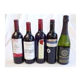 高品質スパークリングワインセット【送料無料】高品質ワインセット（赤４本）+スパークリングワイン（スペイン泡・白）豪華セット　【ワインセット】