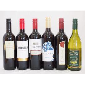 セレクションワイン6本セット (赤ワイン5本 白ワイン1本)(チリ赤、イタリア赤、スペイン赤、チリ白)750ml×6本