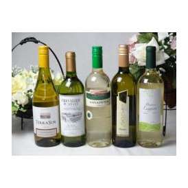 セレクション2 白ワイン 5本セット ( スペインワイン 1本 フランスワイン 1本 イタリアワイン 1本 チリワイン 2本)計750ml×5本