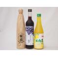 お酒を始めるならこれ！究極の果汁仕込み500ｍｌ×3本セット　【リキュールセット】