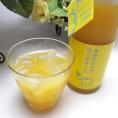 篠崎　馬路村のゆず果汁を贅沢使用　ゆず梅酒はじめました。　500ｍｌ　【女性に人気のリキュール】
