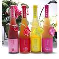 【送料無料】篠崎　スペシャル梅酒セット（もも、りんご、あまおう、ゆず）　500ｍｌ×4本　【女性に人気のリキュール】