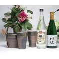 【送料無料】豪華酒器セット陶芸作家　安藤嘉規作（厳選米焼酎２本セット（モン・川辺）　720ｍｌ×２本 ）　【酒器セット】