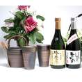 【送料無料】豪華酒器セット陶芸作家　安藤嘉規作（厳選熊本県米焼酎２本セット（球磨拳・ひのひかり）　720ｍｌ×２本 ）　【酒器セット】