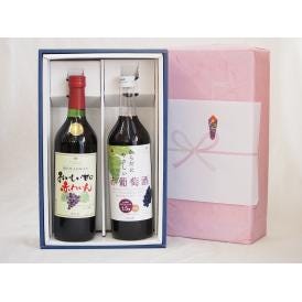 冬の贈り物感謝贈り物ボックス 赤ワイン2本セット(シャンモリ からだにやさしい赤葡萄甘口 赤ワイン720ml おいしい甘口 赤ワイン720ml)