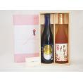 贈り物セット 梅酒 2本セット(高千穂酒造 高千穂梅酒 720ｍｌ 星舎蔵無添加 上等梅酒 720ml)
