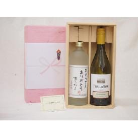 贈り物セット白ワイン麦焼酎 2本セット(チリ白ワイン　テラスル　750ｍｌ おとうさんありがとう 麦 720ml)