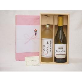 贈り物セット チリワイン 麦焼酎2本セット(テラスル シャルドネ白750ml 井上酒造 おとうさんありがとう夢のひととき720ml)